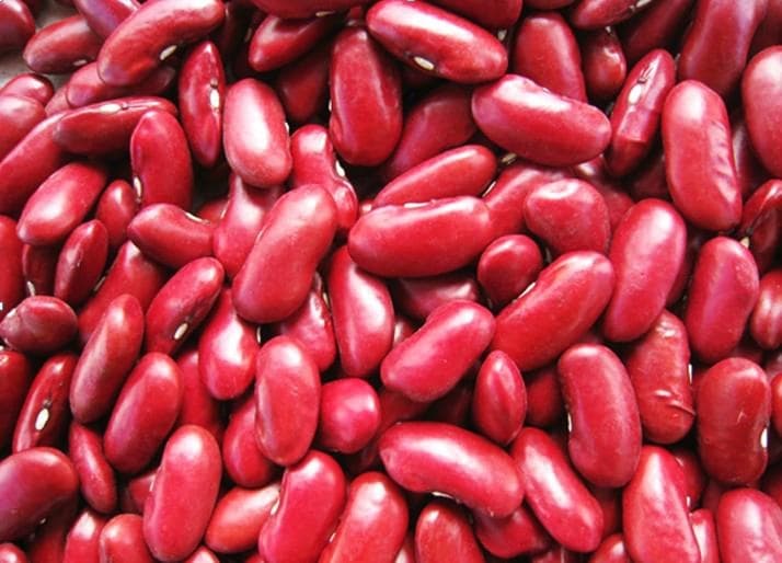 Red- White and Speckled Kidney Beans